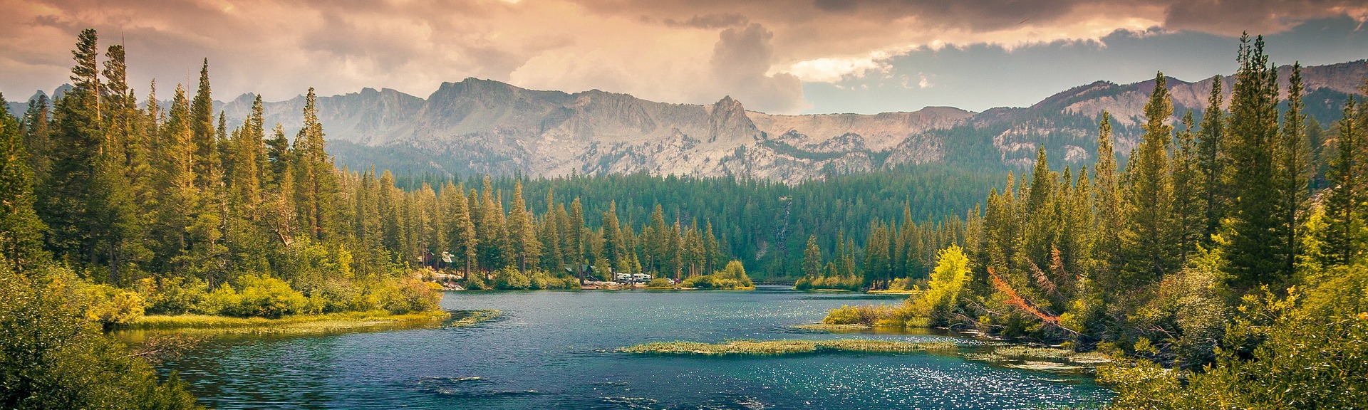 Daniel Takahashi M.P